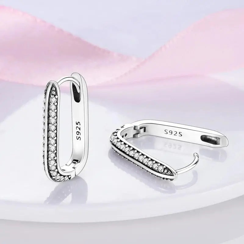 60 Types of Beautiful 925 Sterling Silver Earrings for Women Different Shape Earrings TETAEA