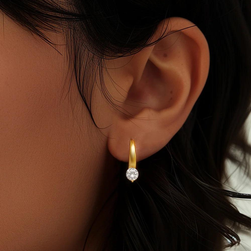 Luxury earrings