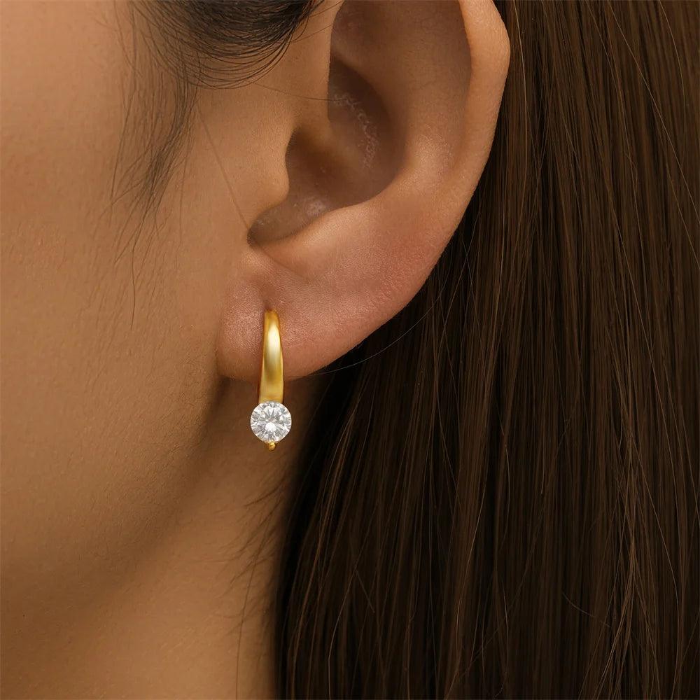 Luxury earrings