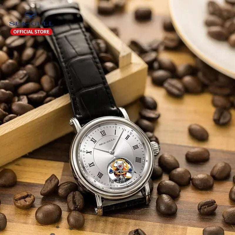 Seagull Men's Watch Tourbillon Automatic Mechanical Wristwatch Luxury Casual Leather Strap Clock Male Watches montre homme 6018 TETAEA